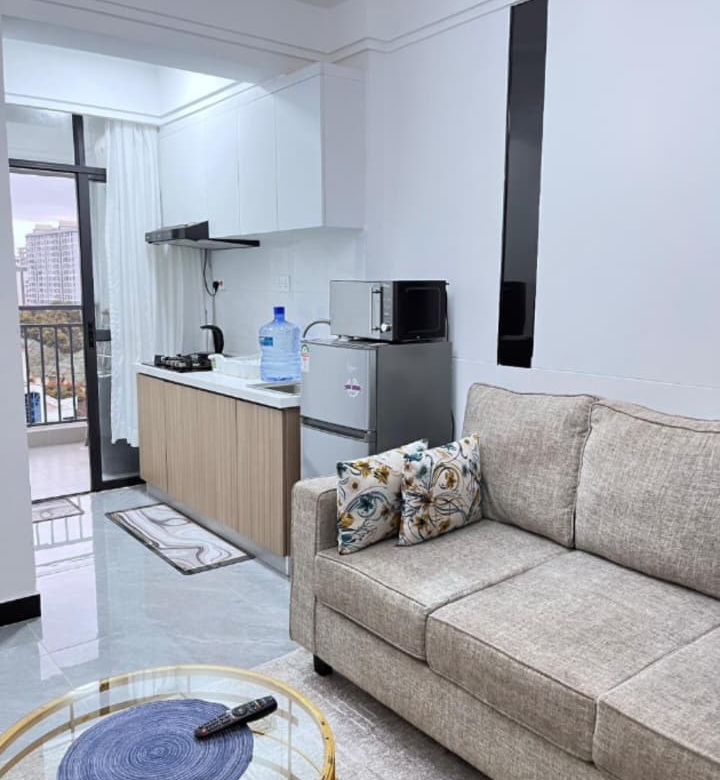 Bahari Homes Residency furnished living room with kitchenette