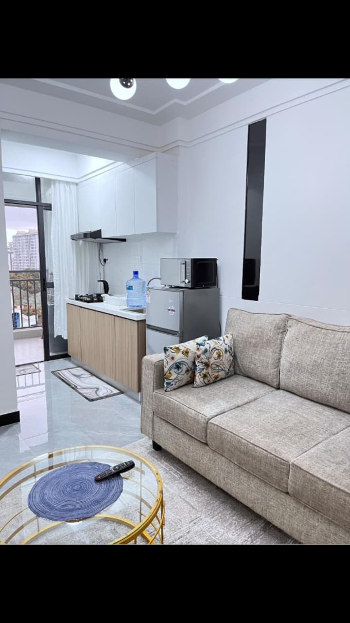 Bahari Homes Residency furnished living room with kitchenette
