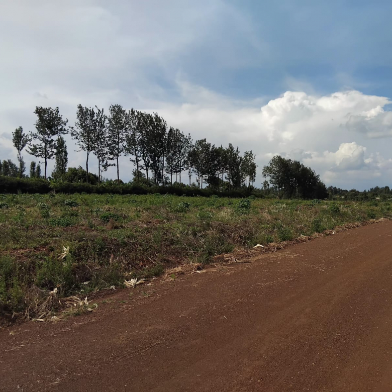 Zuri Springs Plots for Sale in Juja
