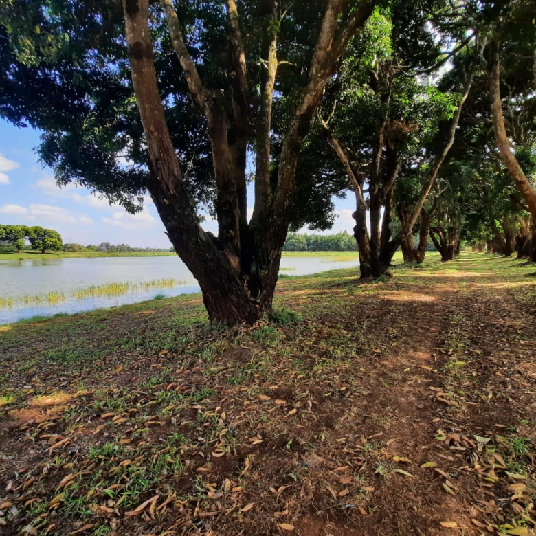 Zuri Springs Plots for Sale in Juja