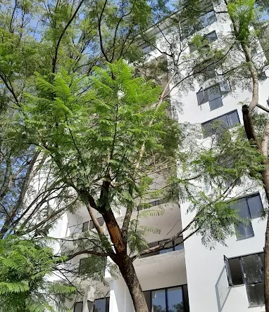 Alkira Residences