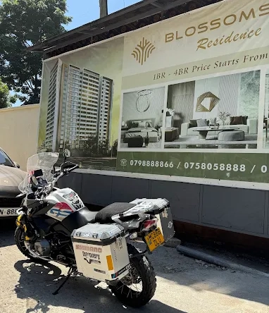 Blossom Ivy Residency