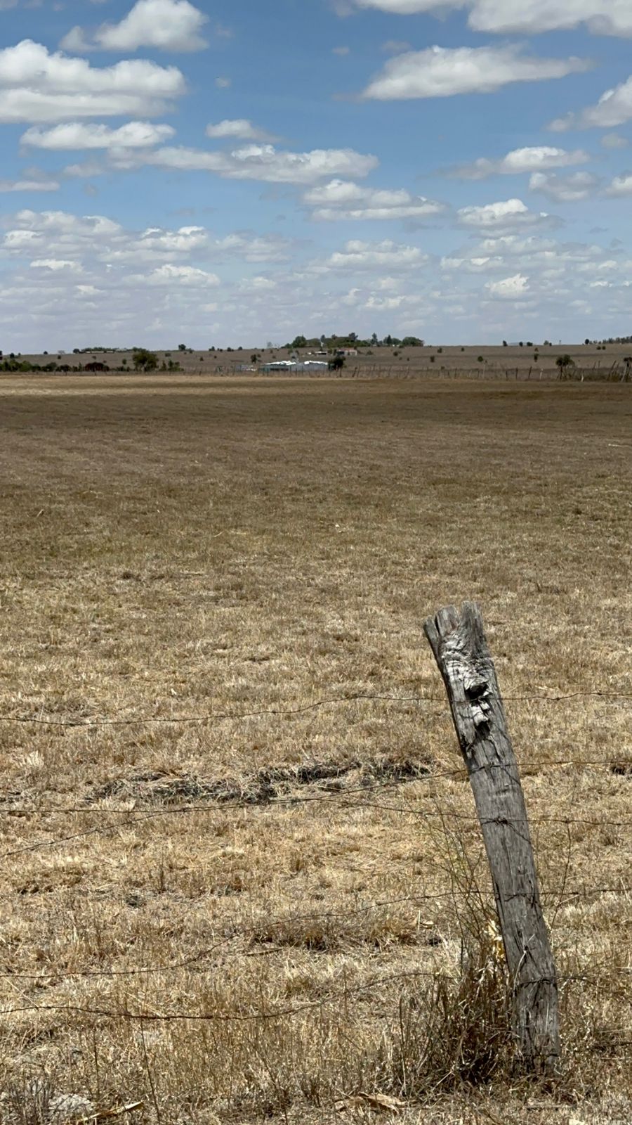 10 Acre Land for Sale