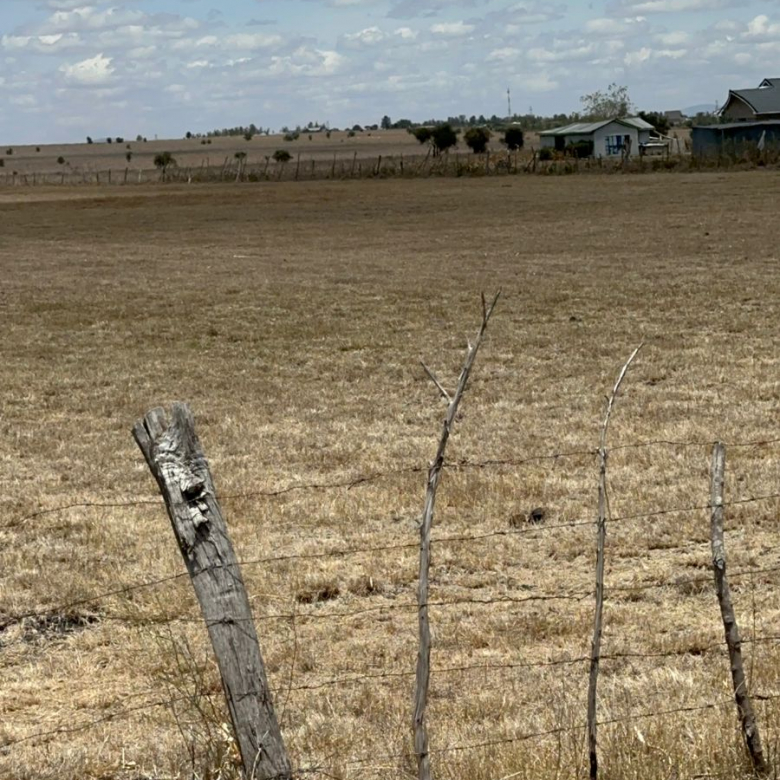 10 Acre Land for Sale