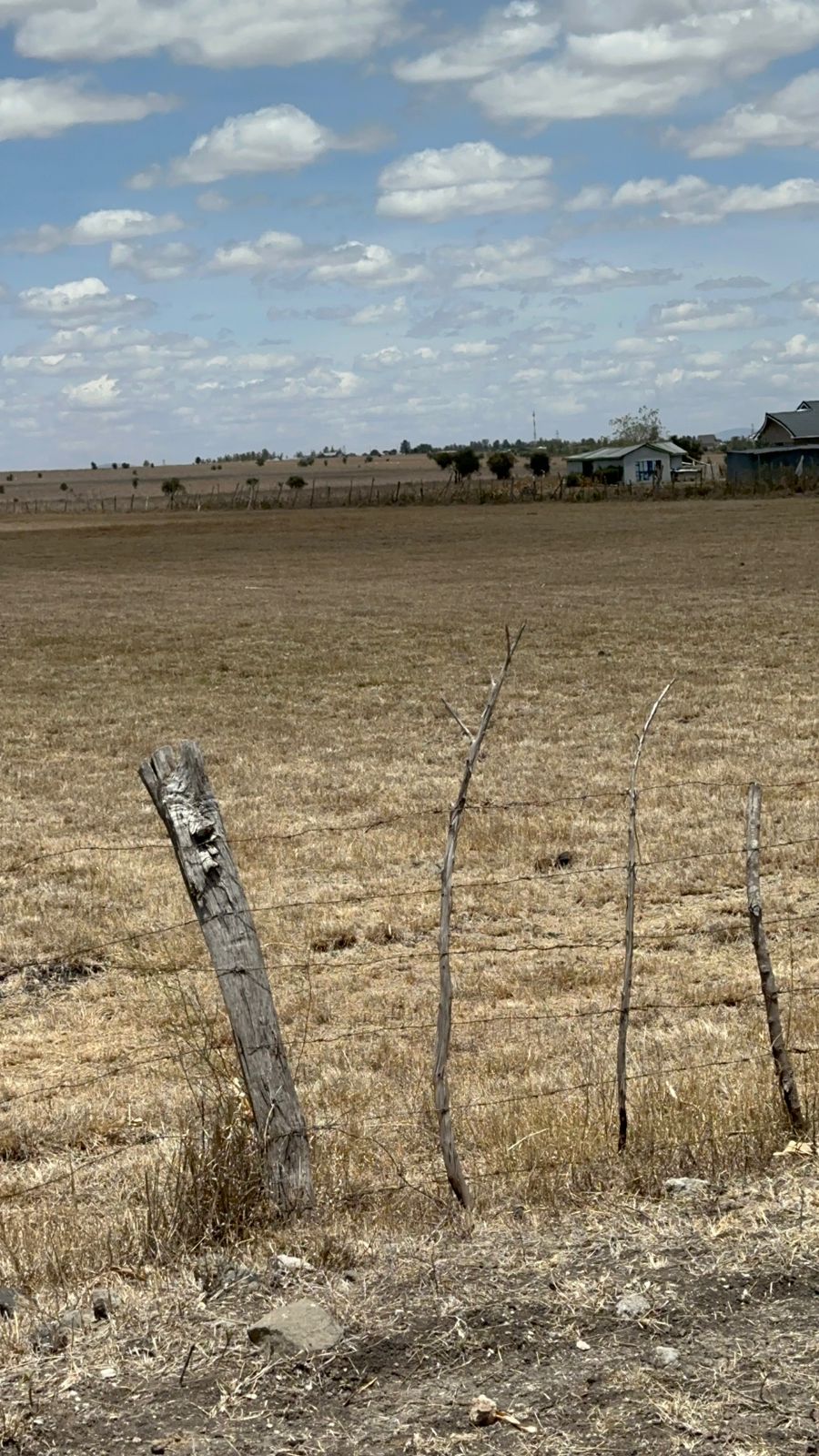 10 Acre Land for Sale