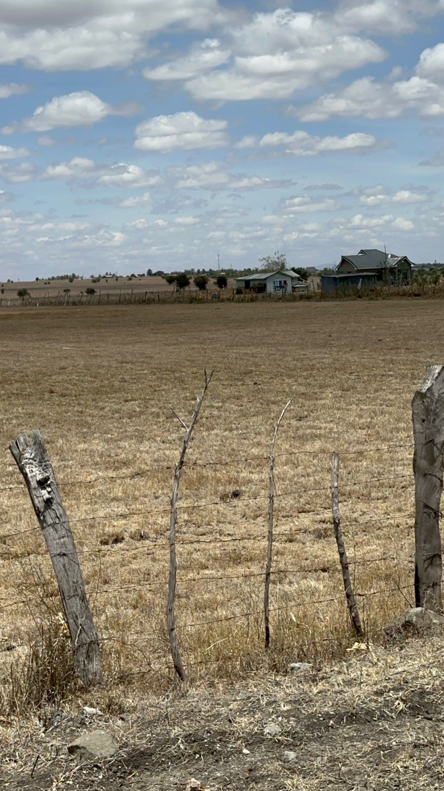 10 Acre Land for Sale