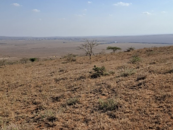 10.8 acres land for sale in Konza City Kenya ideal for commercial or residential development
