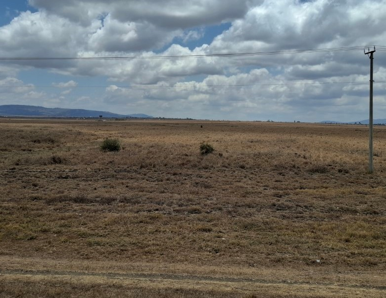 Flat terrain and boundary of 32.4 acres in Konza City Kenya