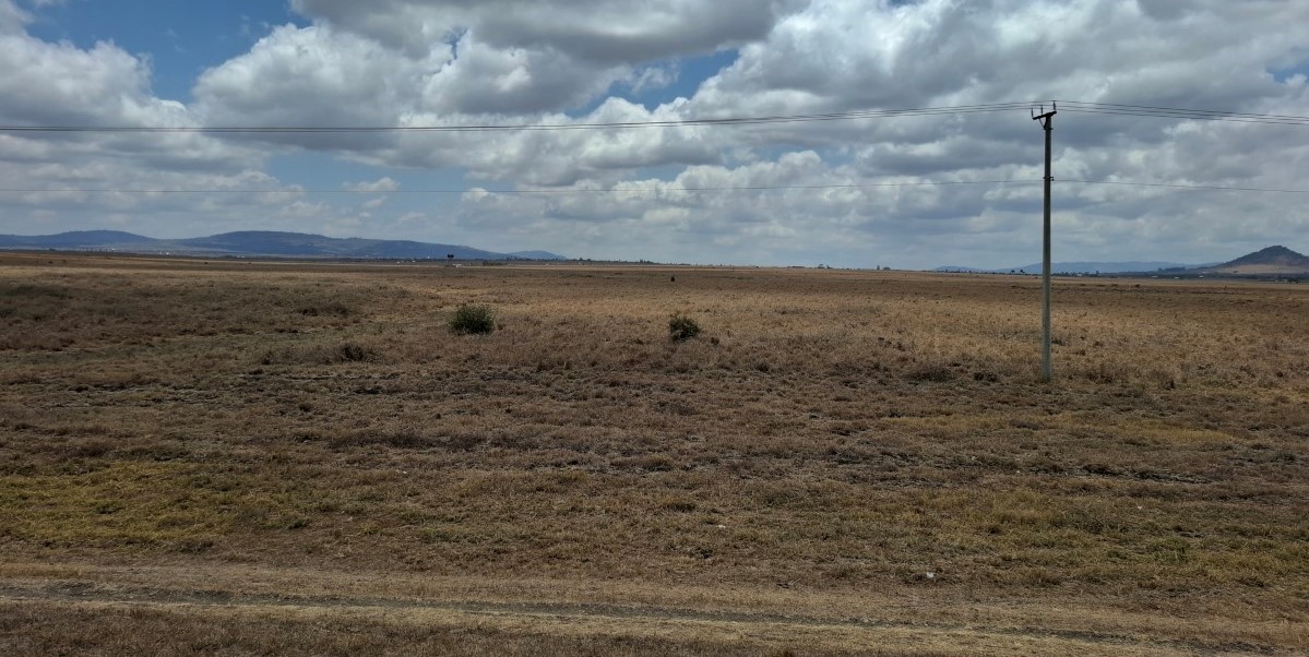 Flat terrain and boundary of 32.4 acres in Konza City Kenya