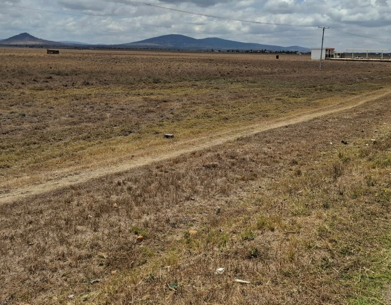 Commercial land for sale in Konza City Kenya with electricity and internet grid access