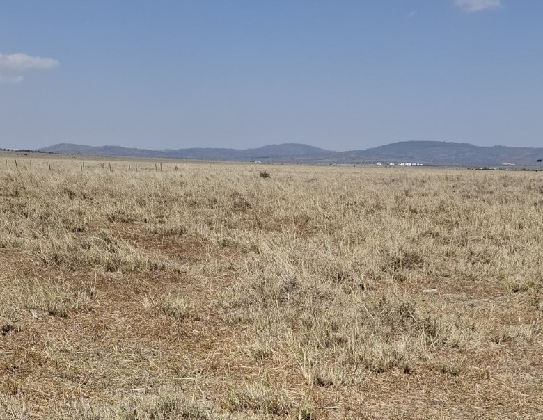 Flat 2 Acres Prime Commercial Plot for sale in Konza with road access and electricity grid coverage