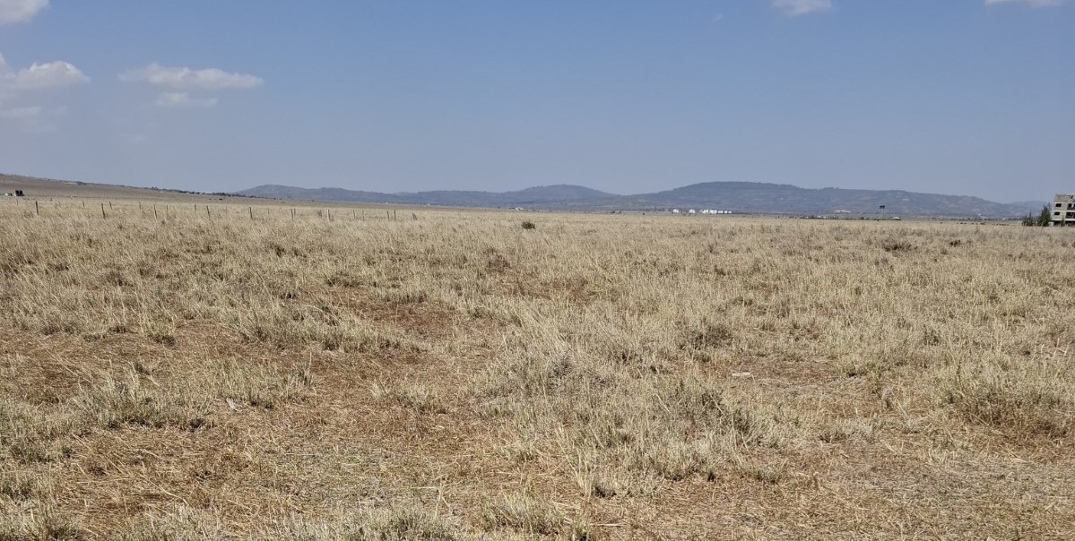 Flat 2 Acres Prime Commercial Plot for sale in Konza with road access and electricity grid coverage