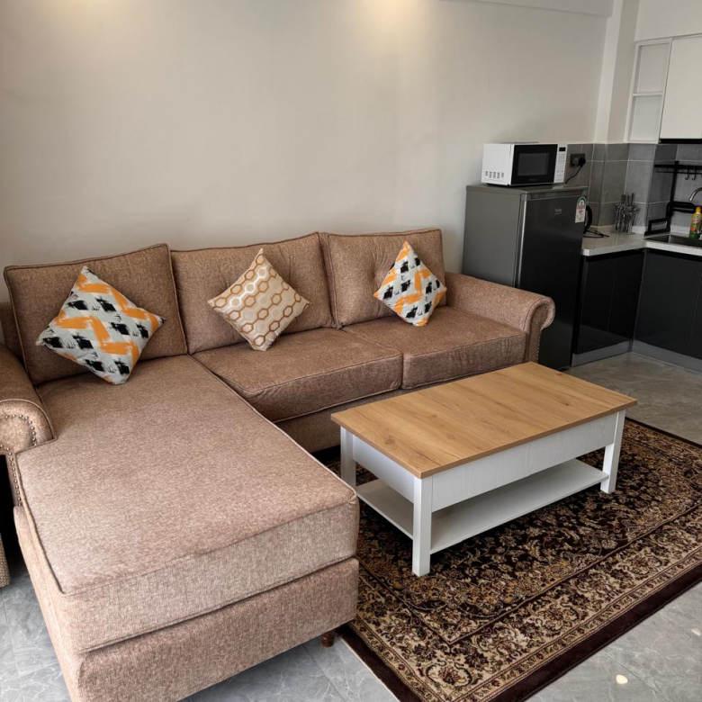 Furnished Rental Apatment at City Oasis