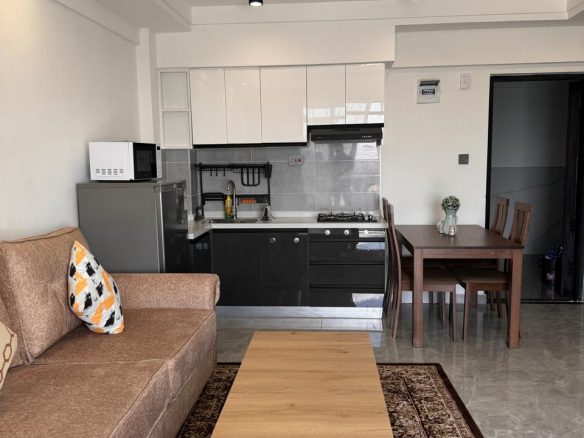 Furnished Rental Apatment at City Oasis
