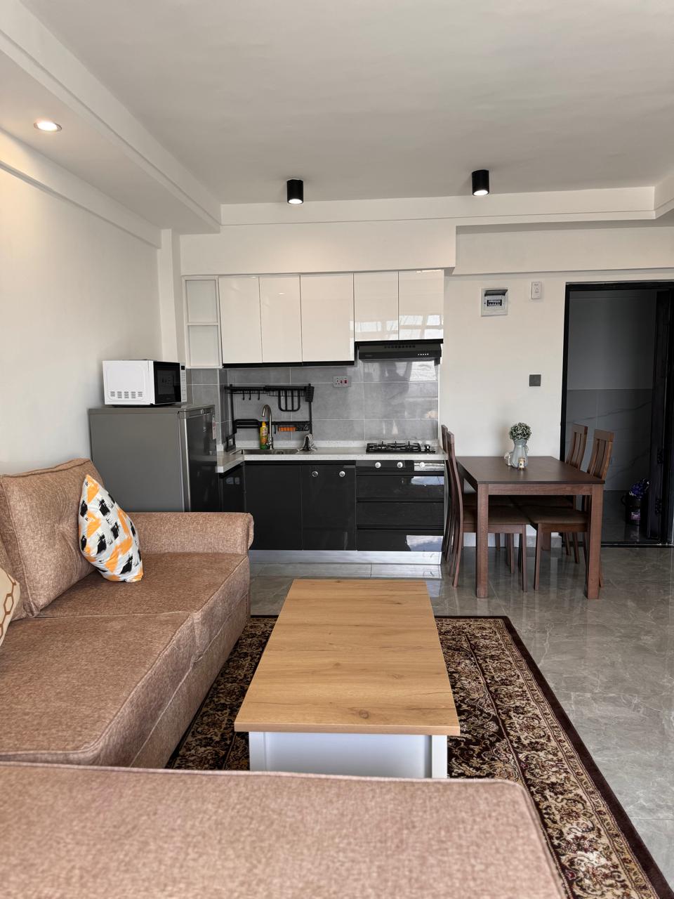 Furnished Rental Apatment at City Oasis