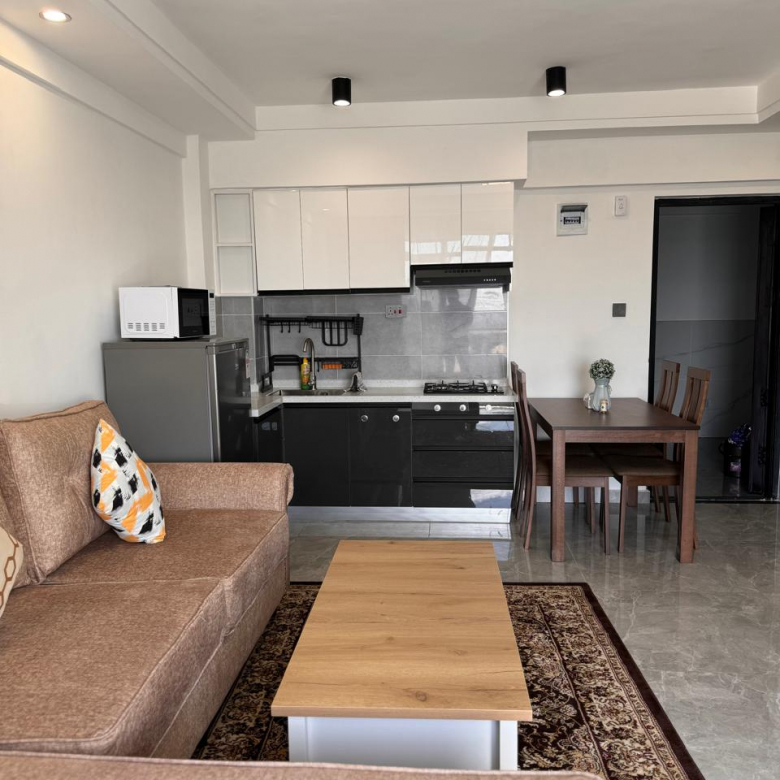 Furnished Rental Apatment at City Oasis