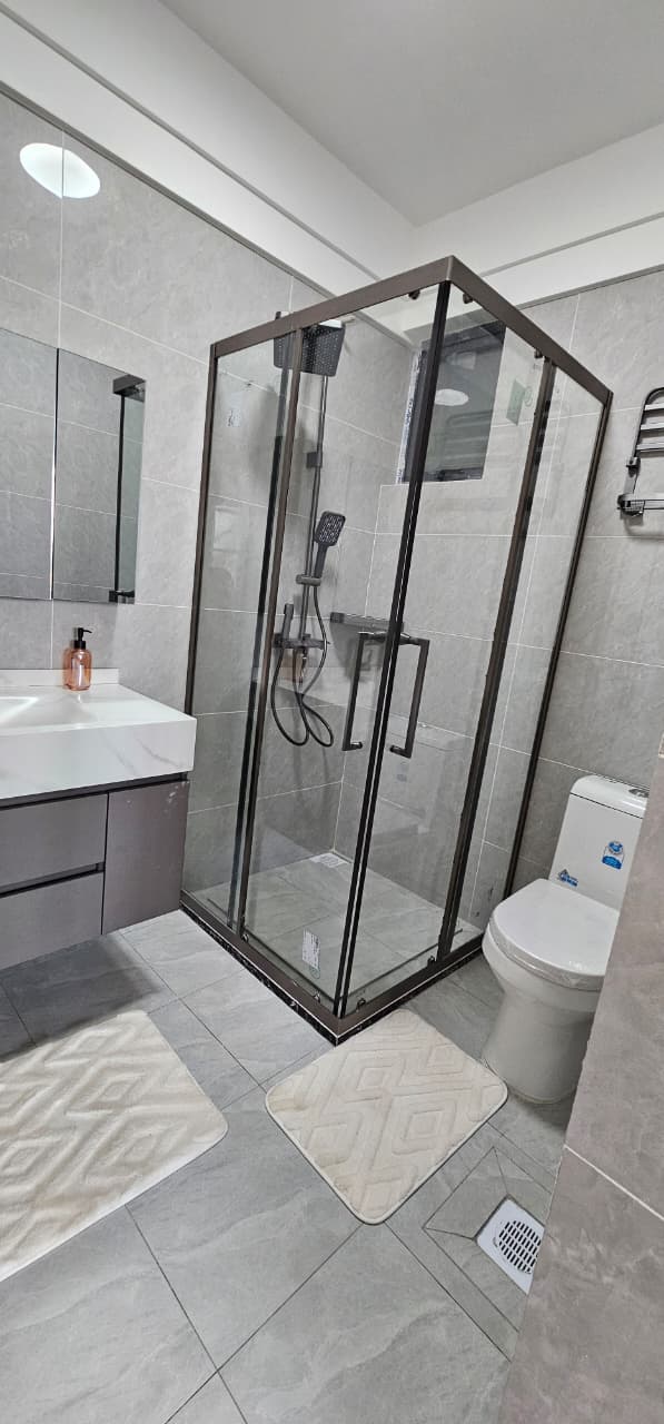 Ilu Green Homes modern apartment bathroom featuring a glass-enclosed shower, rainfall showerhead, handheld shower, vanity sink, wall mirror, toilet, and grey tiled finishes.