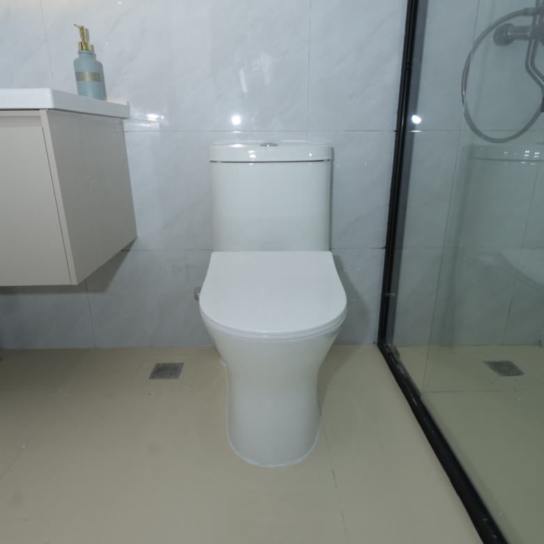 Modern apartment bathroom with toilet and glass shower enclosure in Kileleshwa