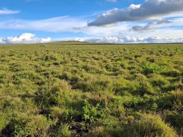 10.8 acres land for sale in Konza City Kenya located near Konza Technopolis and the Nairobi-Mombasa Highway with prime mixed-use investment potential.