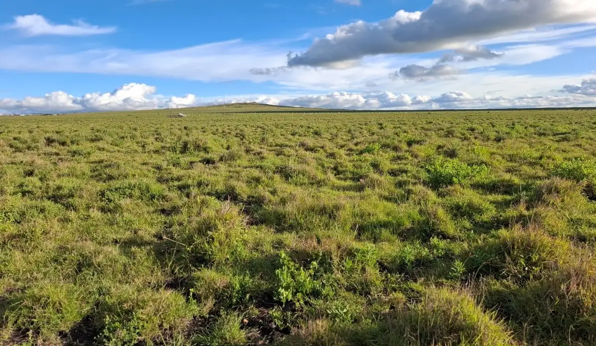 10.8 Acres Land for Sale in Konza City Kenya 10.8 acres land for sale in Konza City Kenya located near Konza Technopolis and the Nairobi-Mombasa Highway with prime mixed-use investment potential.