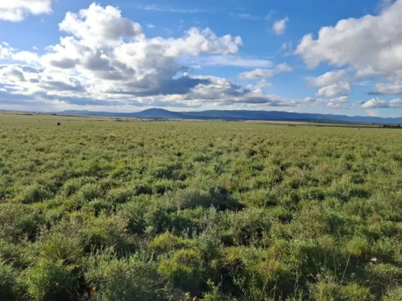10.8 acres mixed-use land for sale in Konza City near Konza Technopolis and the Nairobi-Mombasa Highway with excellent investment potential