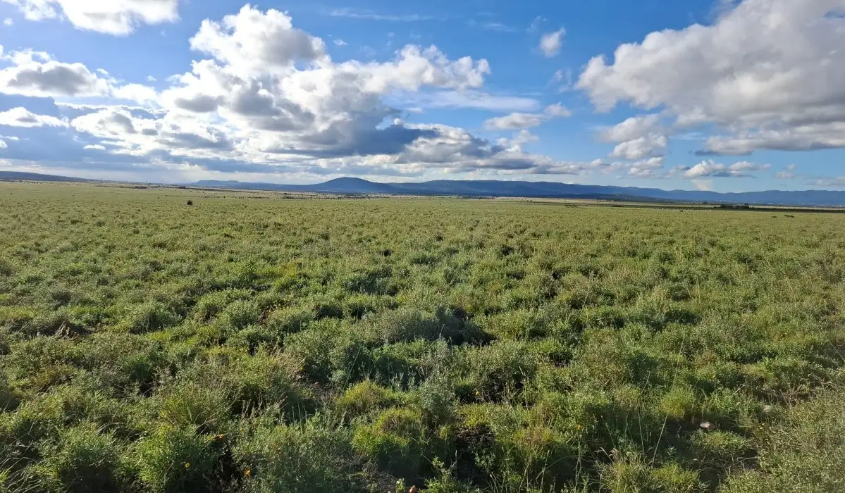 10.8 Acres Mixed-Use Land for Sale in Konza City 10.8 acres mixed-use land for sale in Konza City near Konza Technopolis and the Nairobi-Mombasa Highway with excellent investment potential