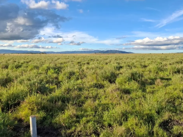 10.8 acres prime land for sale in Konza City Kenya near Konza Technopolis and the Nairobi-Mombasa Highway with excellent mixed-use investment potential