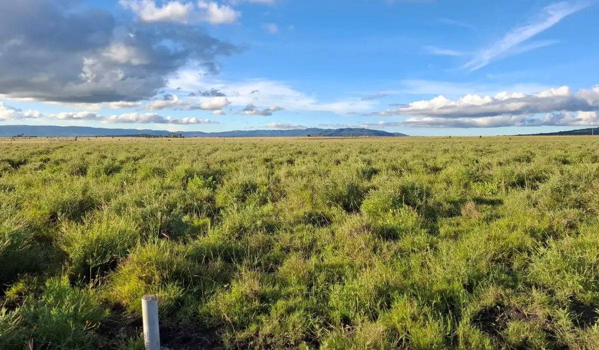 10.8 Acres Prime Land for Sale in Konza City Kenya 10.8 acres prime land for sale in Konza City Kenya near Konza Technopolis and the Nairobi-Mombasa Highway with excellent mixed-use investment potential
