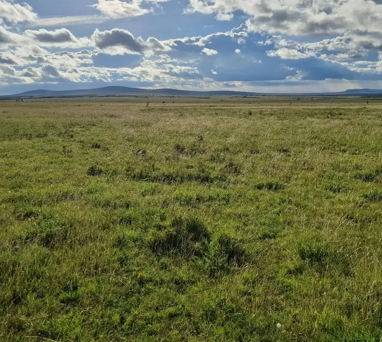 Scenic 21-acre investment land in Konza City with panoramic countryside views