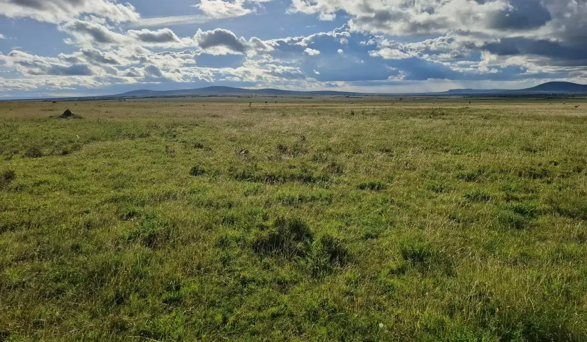 Scenic 21-acre investment land in Konza City with panoramic countryside views