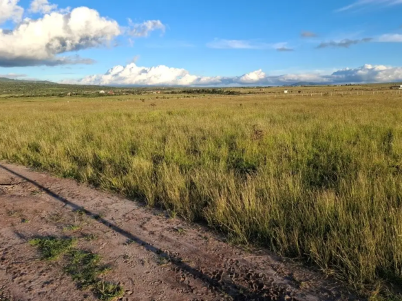 50x100 plots for sale in Konza City near Konza Technopolis with ready infrastructure