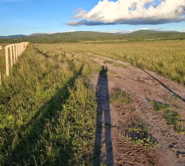50x100 plots in Konza City along an all-weather access road with secure fencing