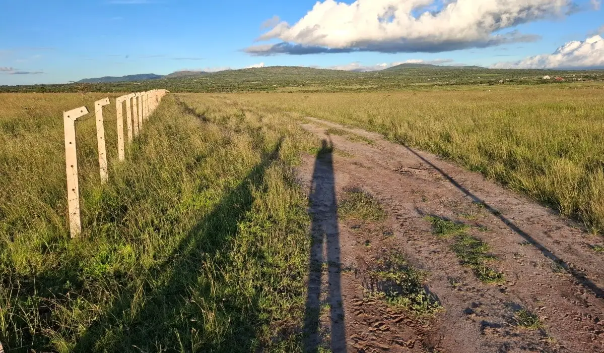 50x100 plots in Konza City along an all-weather access road with secure fencing