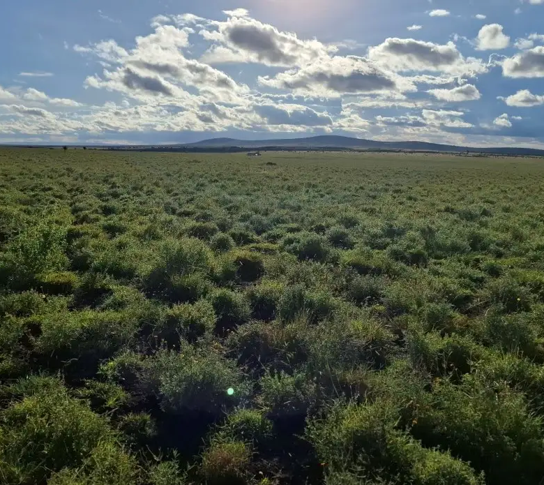 Affordable development land in Konza City suitable for residential estates, SACCO projects, and commercial developments