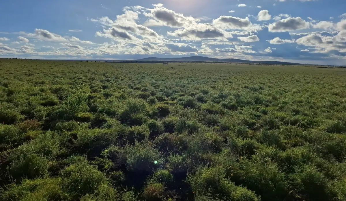 Affordable development land in Konza City suitable for residential estates, SACCO projects, and commercial developments