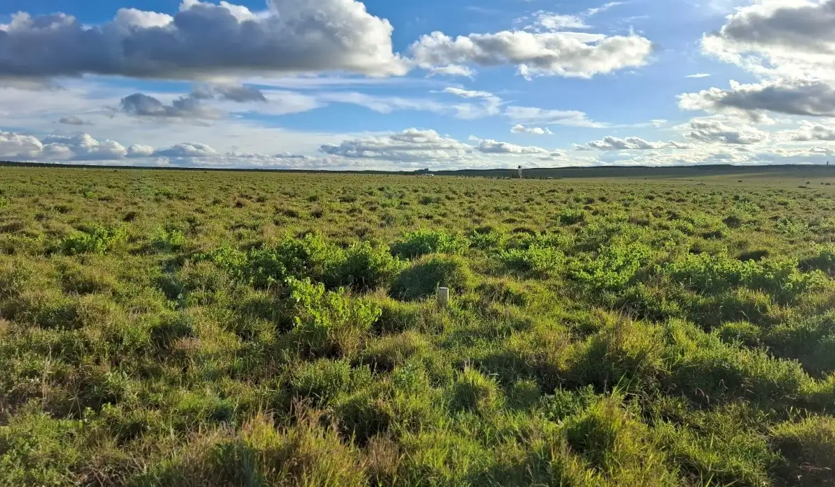 Affordable investment land in Konza City Kenya near Konza Technopolis offering strong capital appreciation and development opportunities