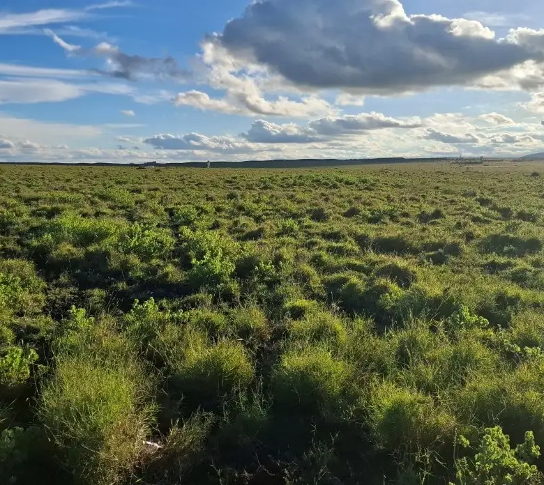 Affordable prime land for sale in Konza City suitable for gated communities, SACCO projects, and commercial developments