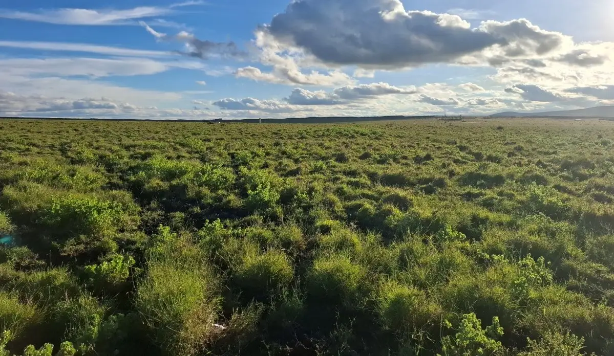 Affordable prime land for sale in Konza City suitable for gated communities, SACCO projects, and commercial developments