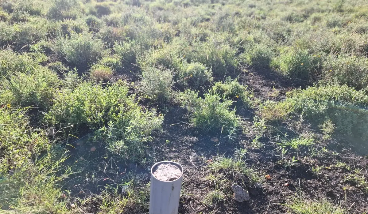 Beaconed mixed-use land in Konza City Kenya with ready title deed and prime development potential near Konza Technopolis