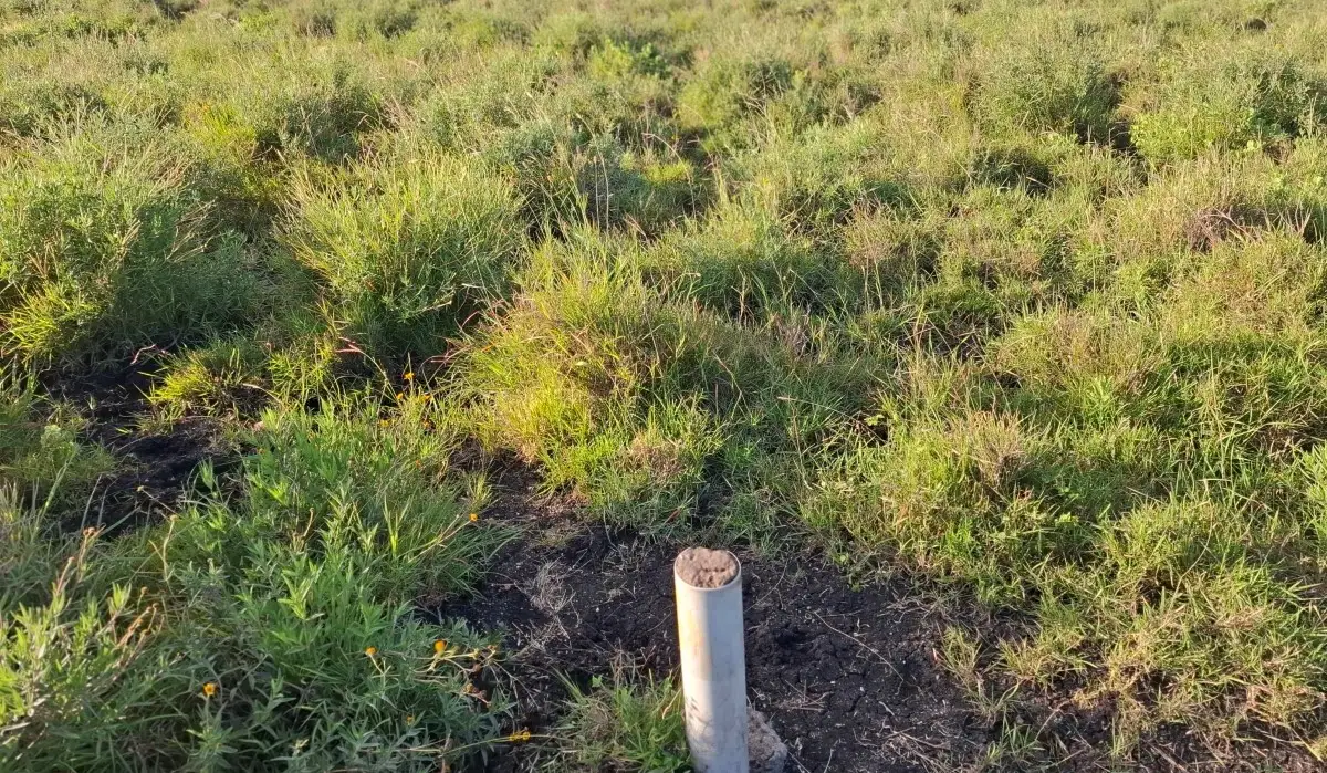 Beaconed mixed-use land in Konza City Kenya with ready title deed and clear property boundaries