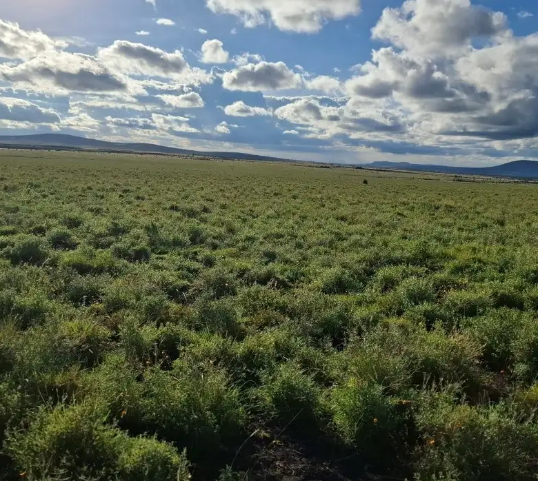 Commercial and residential mixed-use land in Konza City Kenya with scenic open views and development potential