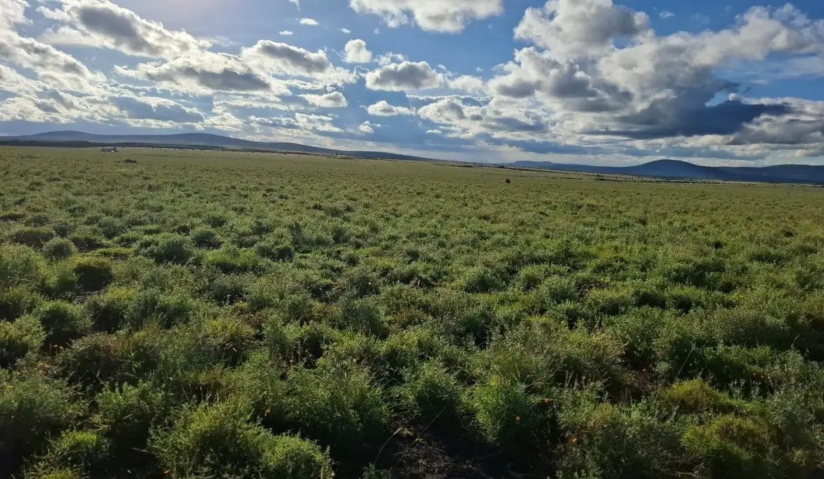 Commercial and residential mixed-use land in Konza City Kenya with scenic open views and development potential
