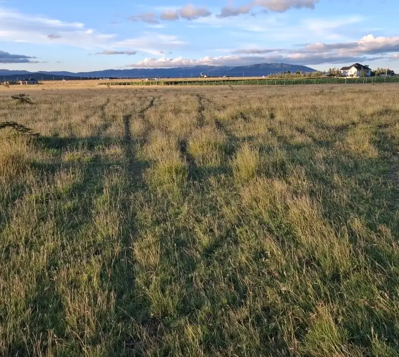 Investment land in Konza City suitable for SACCO projects, schools, hotels, and residential developments with ready freehold title