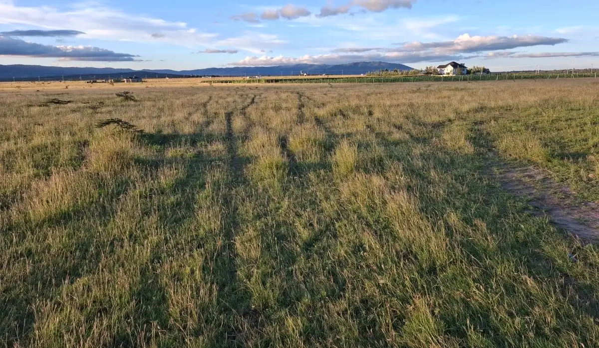 Investment land in Konza City suitable for SACCO projects, schools, hotels, and residential developments with ready freehold title