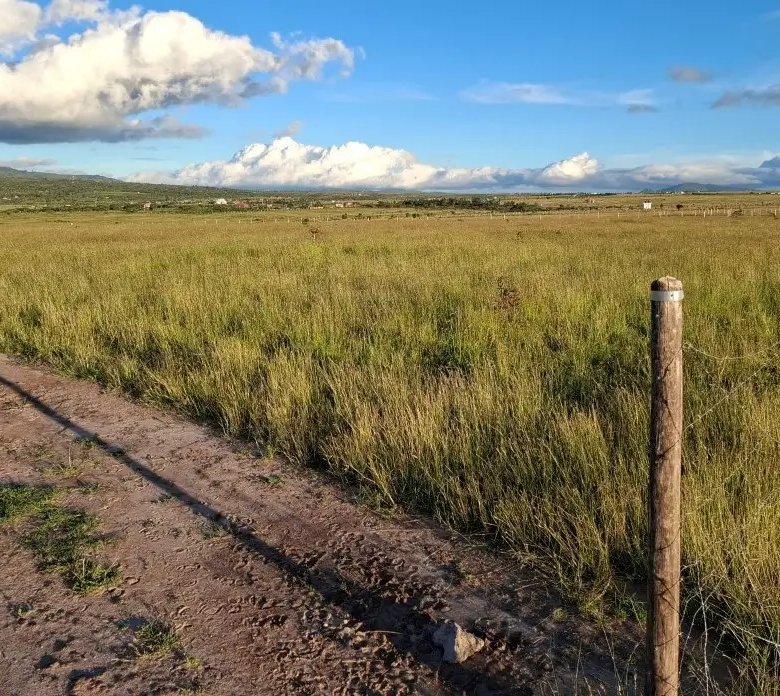Fenced 50x100 plots for sale in Konza City with electricity and scenic surroundings