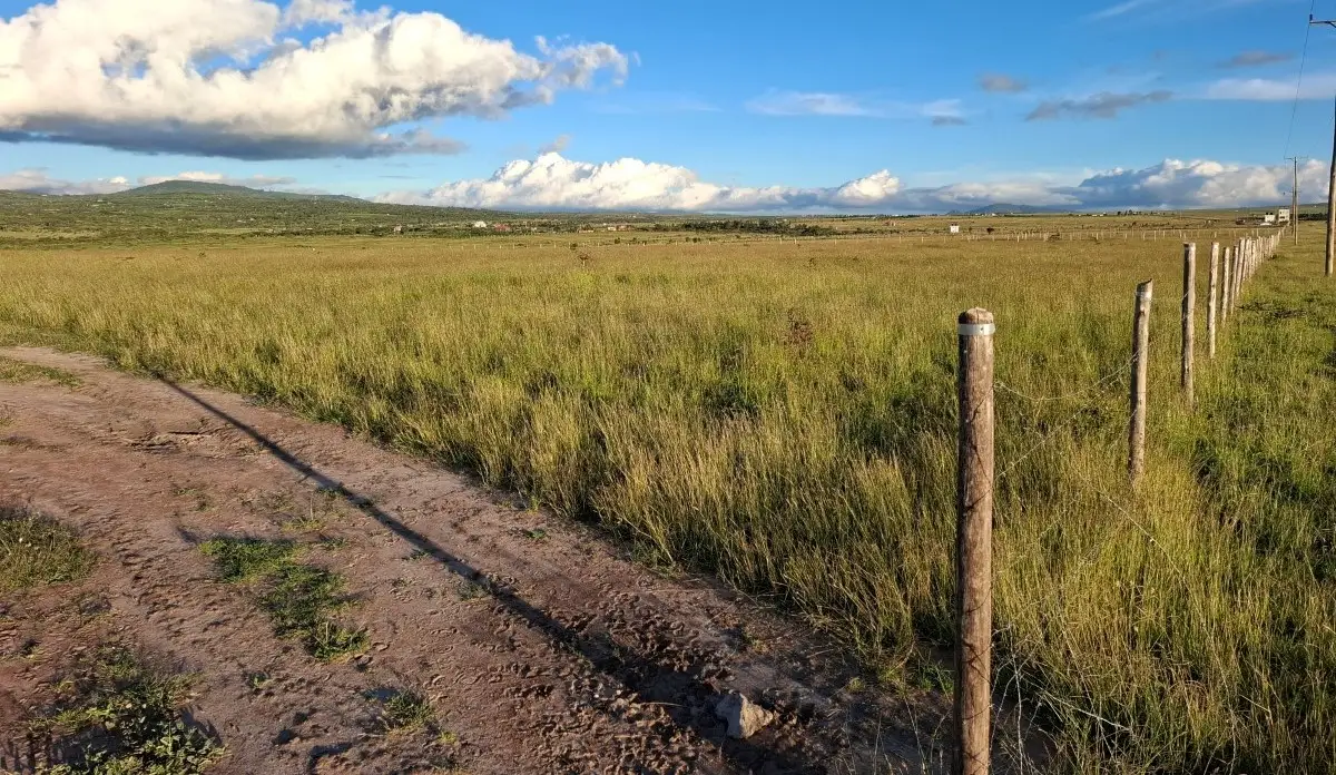 Fenced 50x100 plots for sale in Konza City with electricity and scenic surroundings