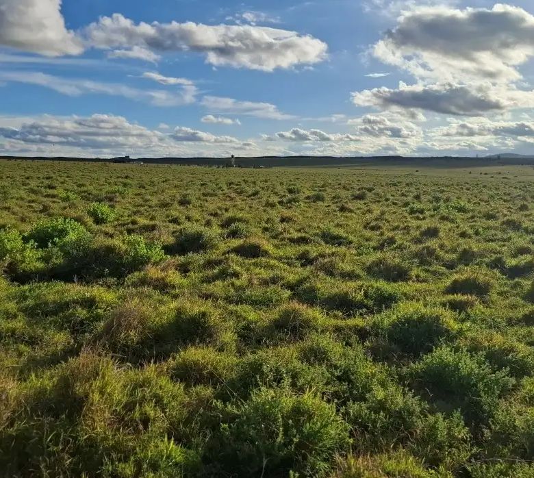 Commercial and residential land for sale in Konza City Kenya suitable for hospitality, educational, residential, and commercial developments