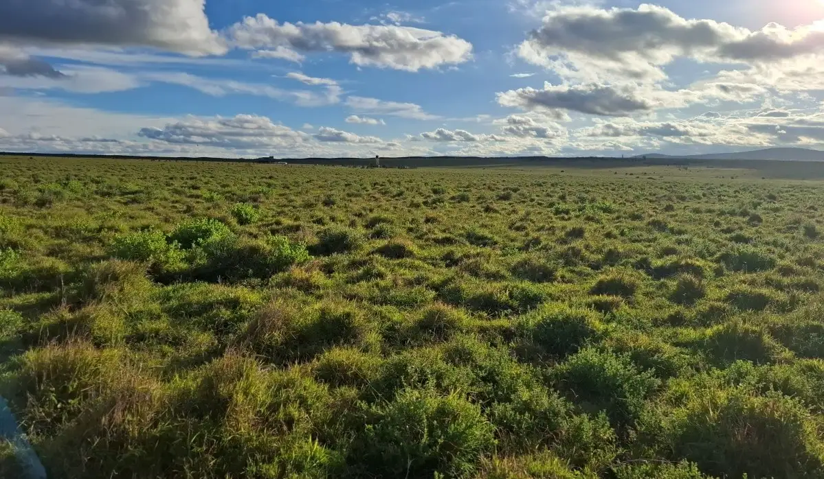 Commercial and residential land for sale in Konza City Kenya suitable for hospitality, educational, residential, and commercial developments
