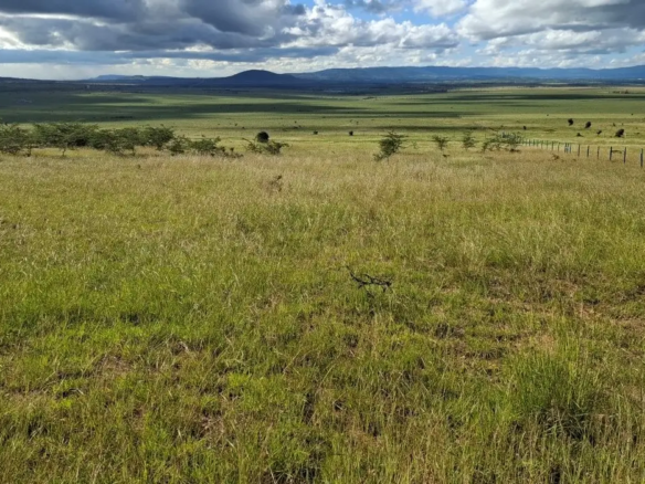 Development land in Konza City Kenya near the Nairobi-Mombasa Highway ideal for gated communities, schools, and hospitality projects