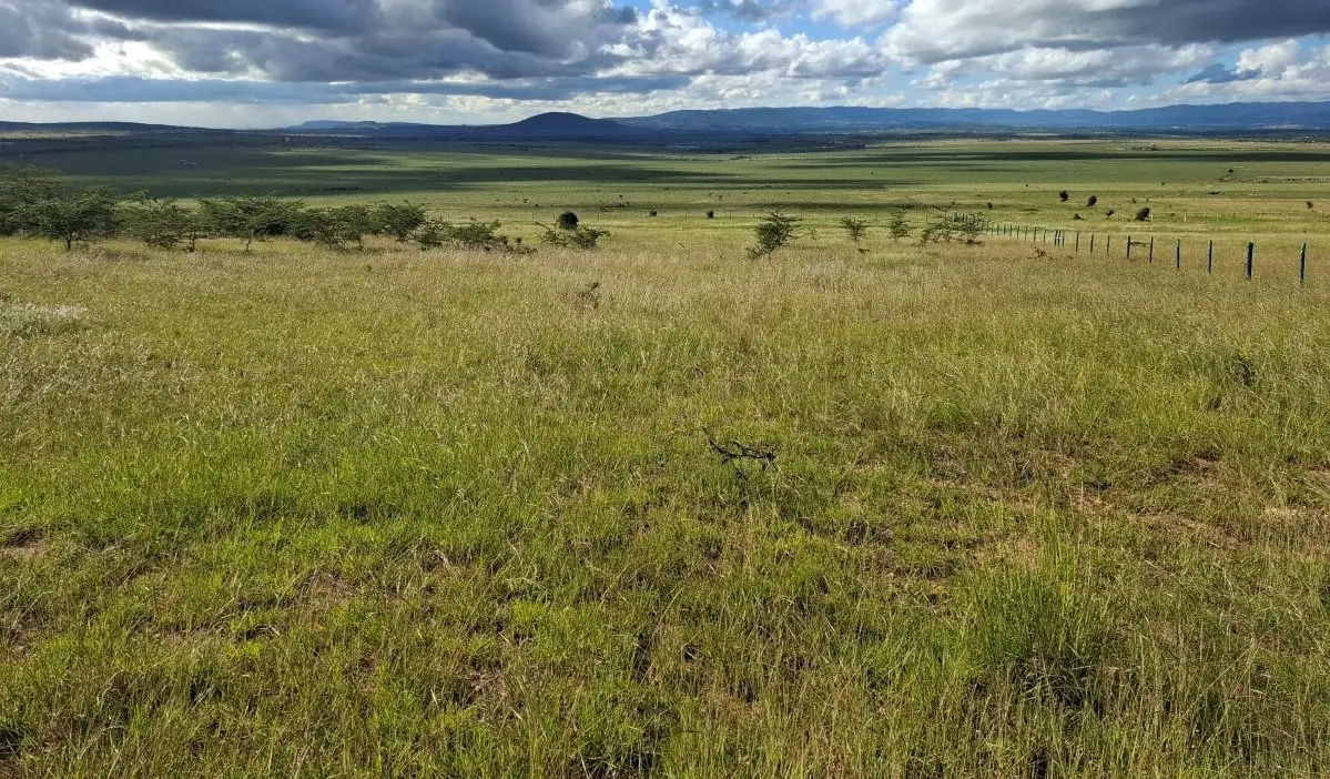konza-city-development-land-near-nairobi-mombasa-highway Development land in Konza City Kenya near the Nairobi-Mombasa Highway ideal for gated communities, schools, and hospitality projects
